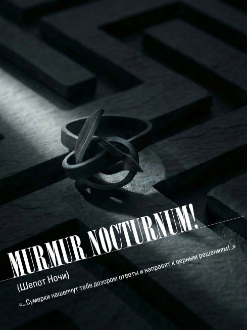 Ремешок на сумку-БРАСЛЕТ-держатель Брелока Унисекс Pi-MURMUR NOCTURNUM!